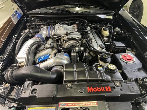 2001 Ford Mustang SVT Cobra