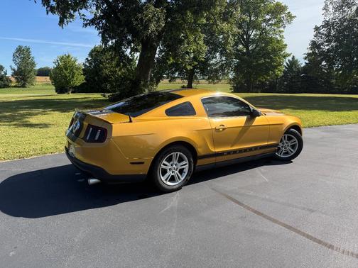 Gold 2010 Ford Mustang Base