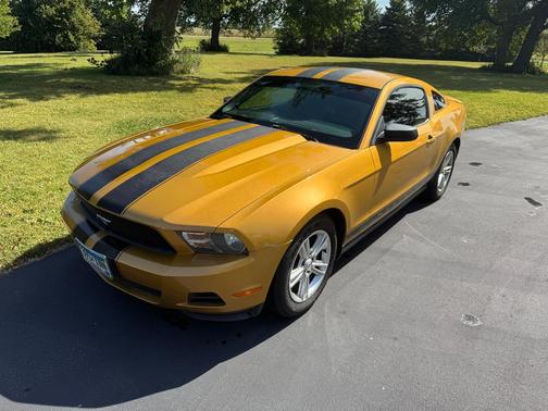 Gold 2010 Ford Mustang Base