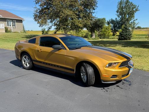 Gold 2010 Ford Mustang Base