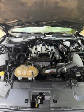 Black 2018 Ford Mustang EcoBoost