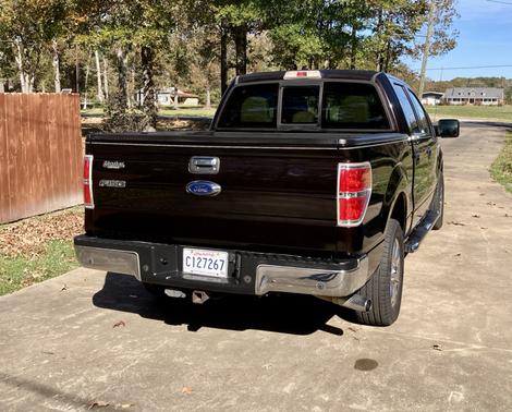 Brown 2014 Ford F-150 XLT