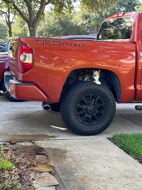Orange 2015 Toyota Tundra TRD Pro