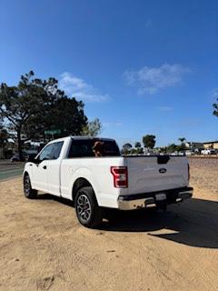 White 2020 Ford F-150 XLT