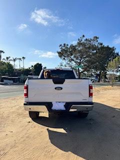 White 2020 Ford F-150 XLT