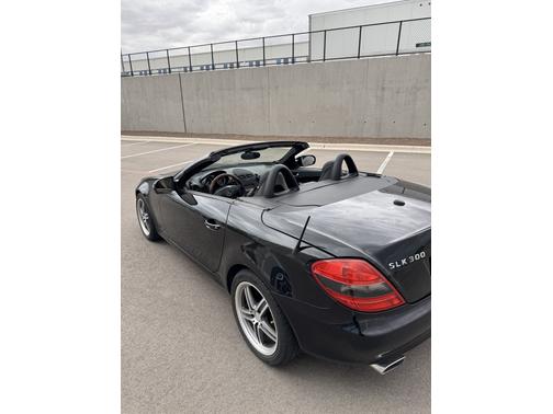 2009 Mercedes-Benz SLK-Class SLK300 Roadster