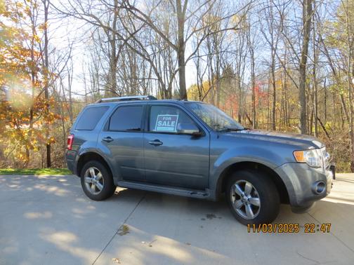 2010 Ford Escape Limited