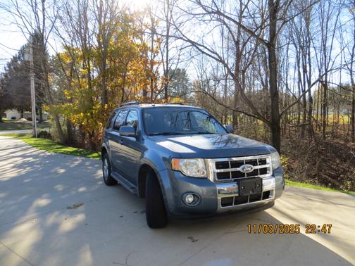 2010 Ford Escape Limited