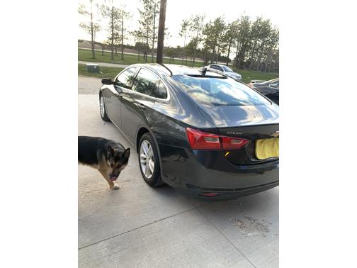 2017 Chevrolet Malibu 1LT