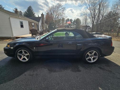 2003 Ford Mustang SVT Cobra