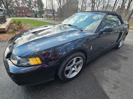 2003 Ford Mustang SVT Cobra