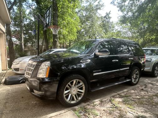 2014 Cadillac Escalade Platinum Edition