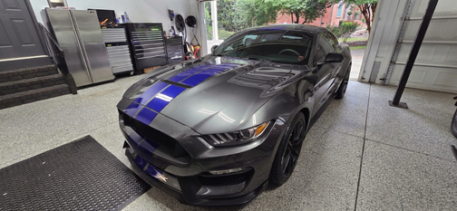 Gray 2016 Ford Shelby GT350 Base