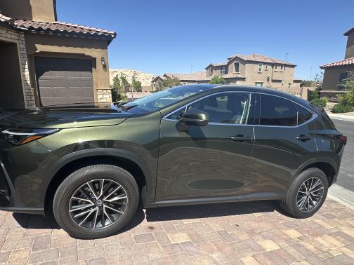 2024 Lexus NX 350 Premium