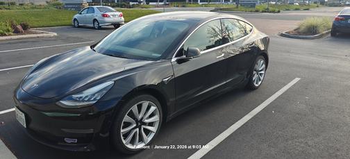 2019 Tesla Model 3 Standard Range Plus