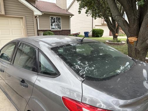 2012 Ford Focus S
