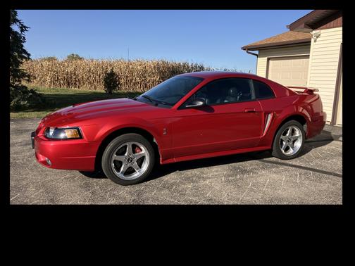 2001 Ford Mustang SVT Cobra