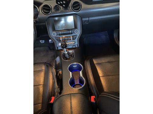 2015 Ford Mustang EcoBoost Premium