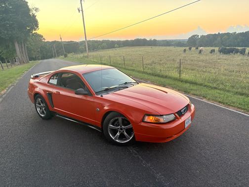 Orange 2004 Ford Mustang Base