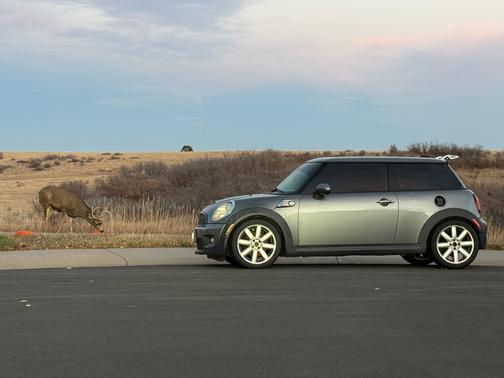 2010 MINI Cooper S Base
