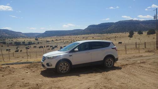 White 2017 Ford Escape SE