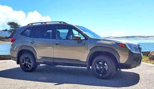 2025 Subaru Forester Wilderness