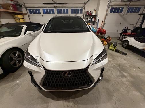 2025 Lexus NX 350h Luxury