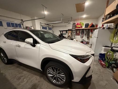 2025 Lexus NX 350h Luxury