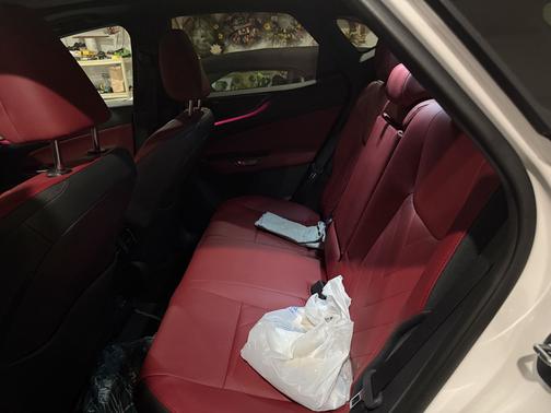 2025 Lexus NX 350h Luxury