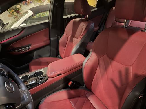 2025 Lexus NX 350h Luxury