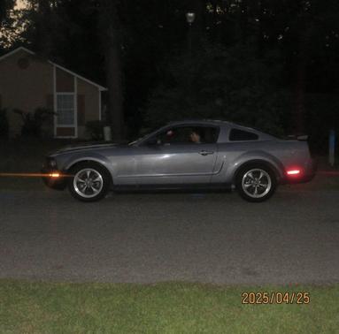 Gray 2006 Ford Mustang Base