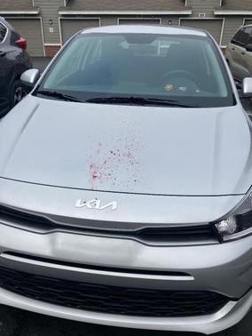 Silver 2023 Kia Rio S