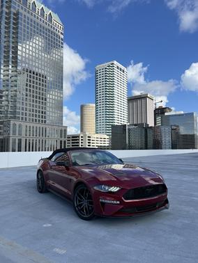 Red 2019 Ford Mustang EcoBoost Premium