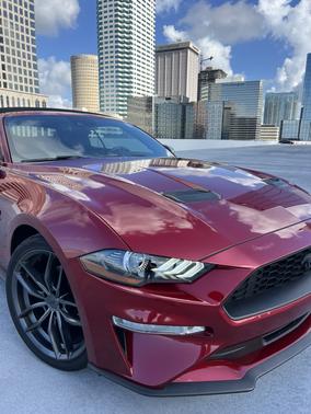 Red 2019 Ford Mustang EcoBoost Premium
