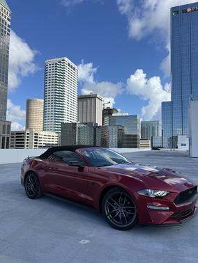 Red 2019 Ford Mustang EcoBoost Premium