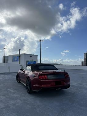 Red 2019 Ford Mustang EcoBoost Premium