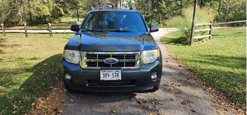 2008 Ford Escape XLT