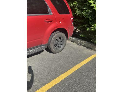 2010 Ford Escape Limited