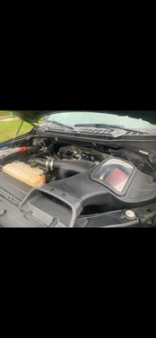 Black 2019 Ford F-150 XL