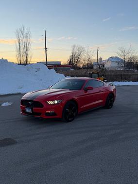 Red 2015 Ford Mustang EcoBoost