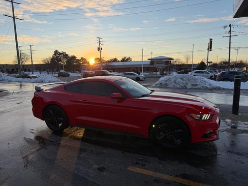 Red 2015 Ford Mustang EcoBoost
