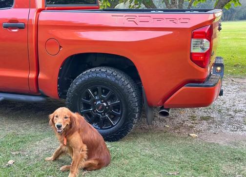 2015 Toyota Tundra TRD Pro