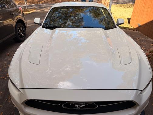 2015 Ford Mustang GT 50 Years Limited Edition