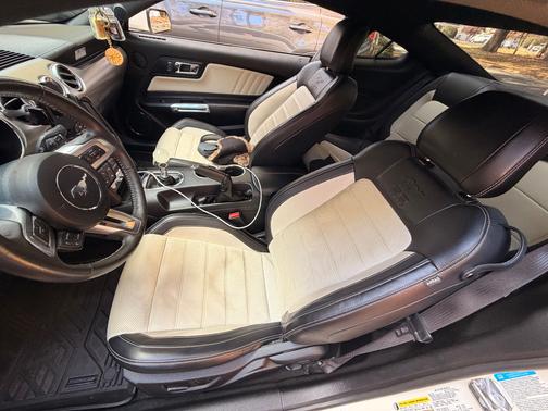 2015 Ford Mustang GT 50 Years Limited Edition