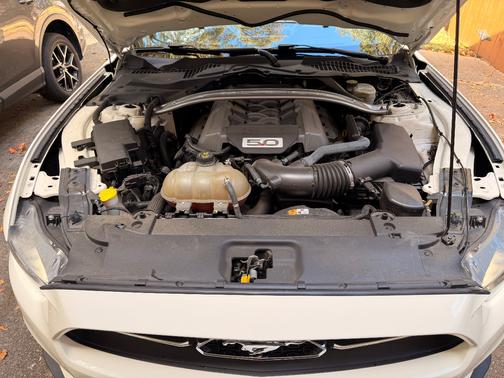 2015 Ford Mustang GT 50 Years Limited Edition