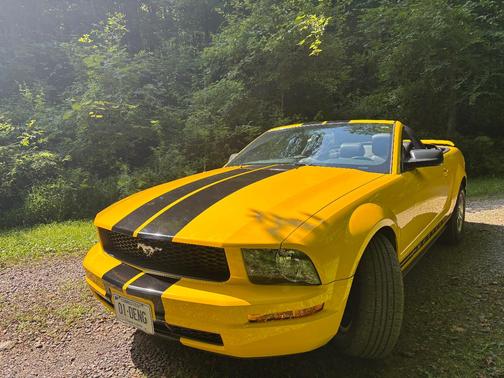 Yellow 2005 Ford Mustang Deluxe