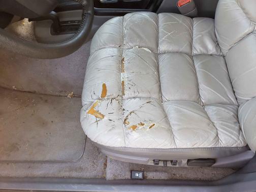 Green 1994 Jeep Grand Cherokee Limited 4WD