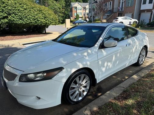 White 2010 Honda Accord EX-L