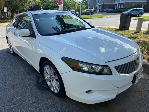 White 2010 Honda Accord EX-L
