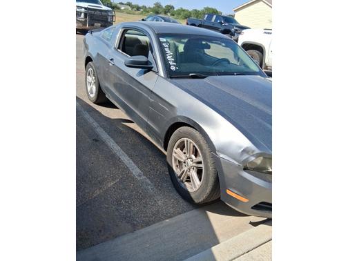 Gray 2010 Ford Mustang Base